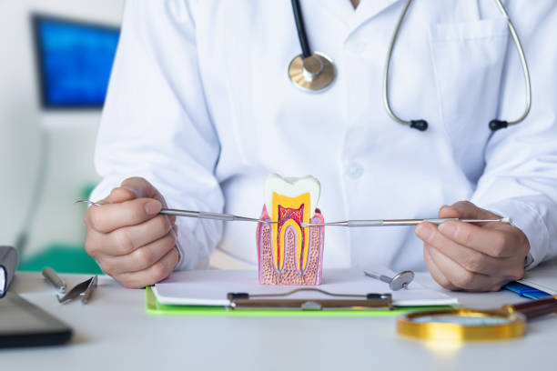 Best Emergency Dental Services Near Me  in Johnson Lane, NV